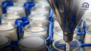 بررسی فرآیند تولید فرآورده‌ های لبنی