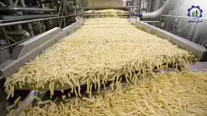 بررسی فرآیند تولید فرنچ فرایز