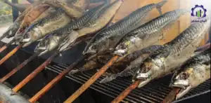 بررسی فرآیند تولید و فرآوری ماهی دودی