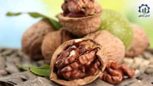 بررسی فرآیند پرورش گردو