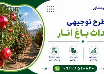 طرح احداث باغ انار