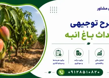 طرح احداث باغ انبه