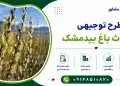طرح احداث باغ بیدمشک