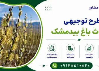طرح احداث باغ بیدمشک
