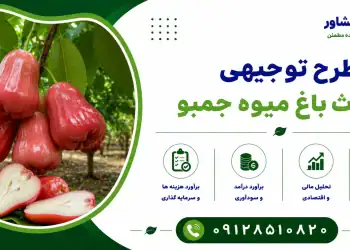 طرح احداث باغ میوه جمبو