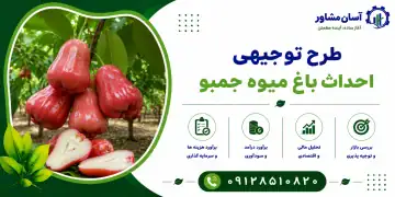 طرح احداث باغ میوه جمبو