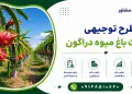طرح احداث باغ میوه دراگون