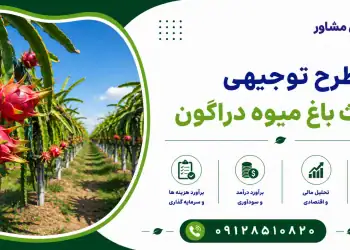 طرح احداث باغ میوه دراگون
