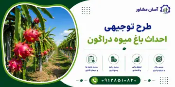 طرح احداث باغ میوه دراگون