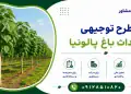 طرح احداث باغ پالونیا