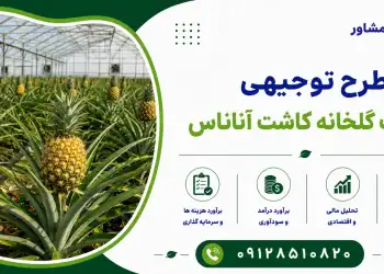 طرح احداث گلخانه کاشت آناناس