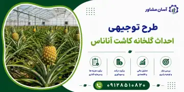 طرح احداث گلخانه کاشت آناناس