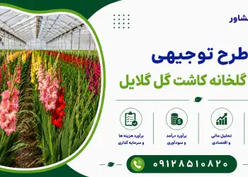 طرح احداث گلخانه کاشت گل گلایل