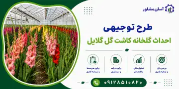 طرح احداث گلخانه کاشت گل گلایل