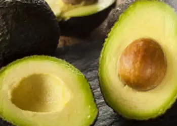 طرح توجیهی احداث باغ آووکادو