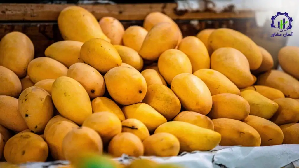 طرح توجیهی احداث باغ انبه