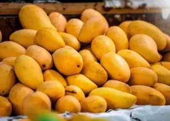 طرح توجیهی احداث باغ انبه