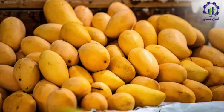 طرح توجیهی احداث باغ انبه