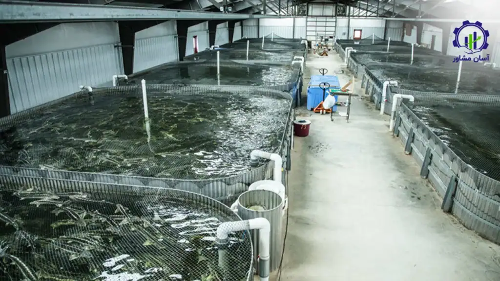 طرح توجیهی احداث فارم پرورش ماهی خاویار