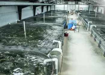 طرح توجیهی احداث فارم پرورش ماهی خاویار