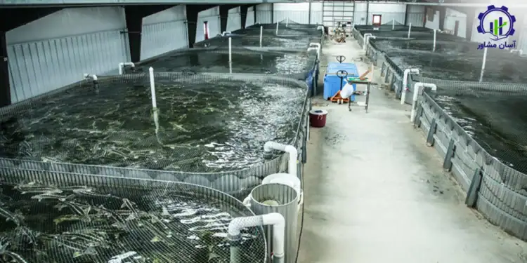 طرح توجیهی احداث فارم پرورش ماهی خاویار