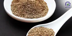 طرح توجیهی احداث مزرعه کشت گیاه زنیان