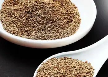 طرح توجیهی احداث مزرعه کشت گیاه زنیان