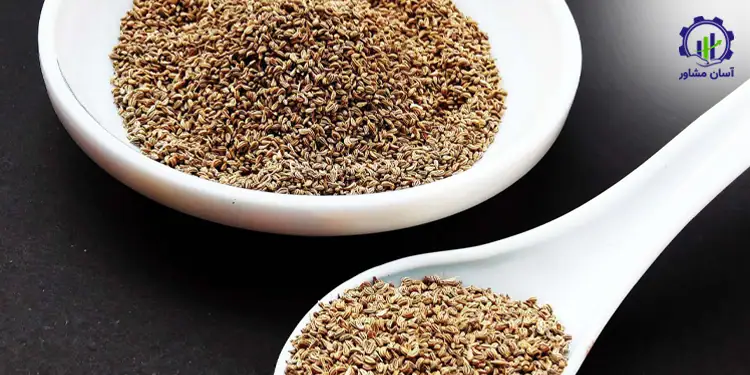 طرح توجیهی احداث مزرعه کشت گیاه زنیان