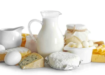 طرح توجیهی تولید فرآورده های لبنی