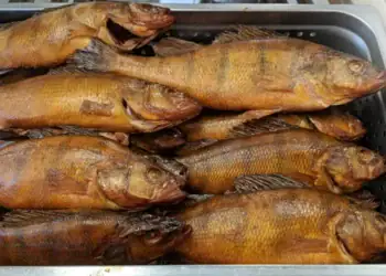 طرح توجیهی تولید و فرآوری ماهی دودی