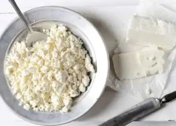 طرح توجیهی تولید پنیر کاتیج