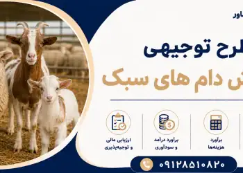 طرح پرورش دام های سبک