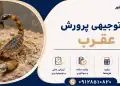 طرح پرورش عقرب