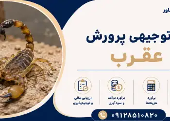 طرح پرورش عقرب