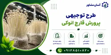 طرح احداث باغ میوه جمبو