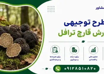 طرح پرورش قارچ ترافل