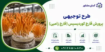 طرح پرورش قارچ کوردیسپس (قارچ زامبی)