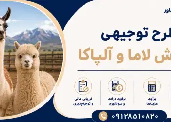 طرح پرورش لاما و آلپاکا