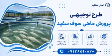 طرح پرورش ماهی سوف سفید