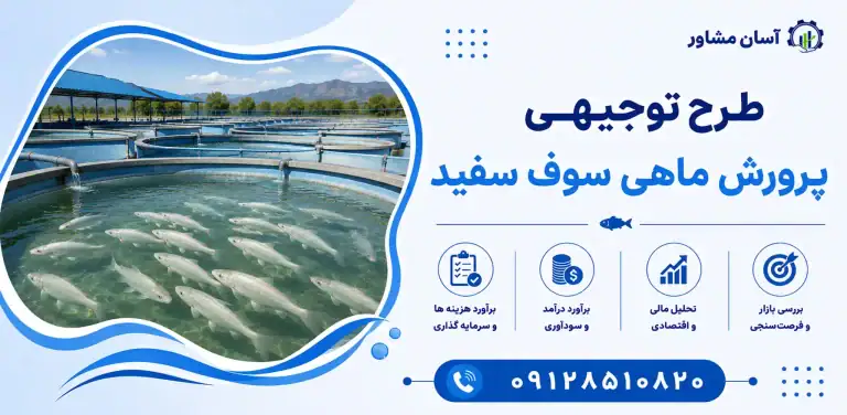 طرح پرورش ماهی سوف سفید
