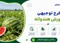 طرح پرورش هندوانه