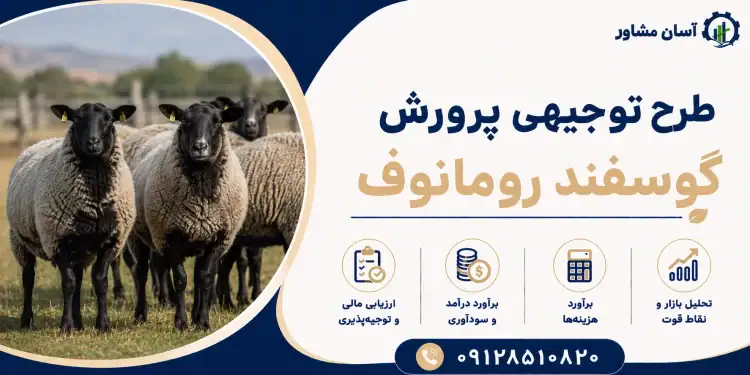 طرح پرورش گوسفند رومانوف