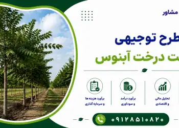 طرح کاشت درخت آبنوس