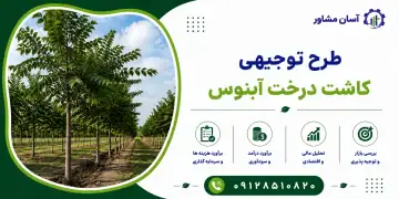 طرح کاشت درخت آبنوس