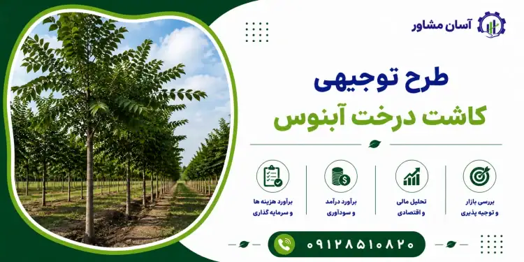 طرح کاشت درخت آبنوس