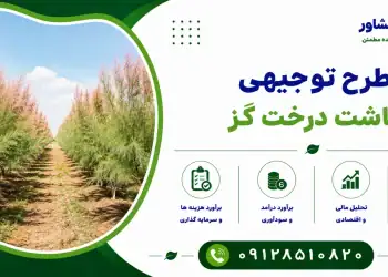 طرح کاشت درخت گز