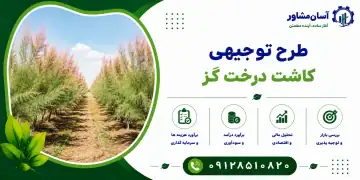 طرح کاشت درخت گز