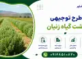 طرح کشت گیاه زنیان