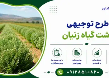طرح کشت گیاه زنیان