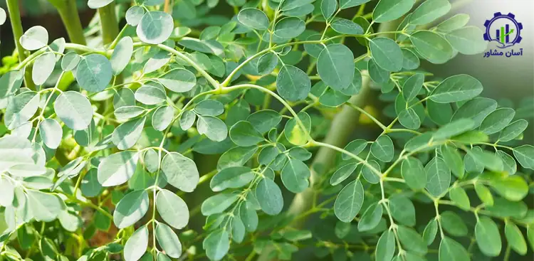 تولید و استفاده از فلایویل موتور خودرو؛ راهنمای جامع و تخصصی